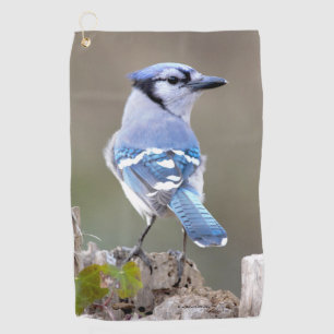 Toalla De Golf Cuadrillo de Jay azul en Treestump