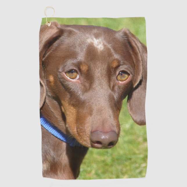 Toalla De Golf Dachshund (Anverso)