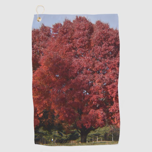 Toalla de Golf de Árbol Rojo (Anverso)
