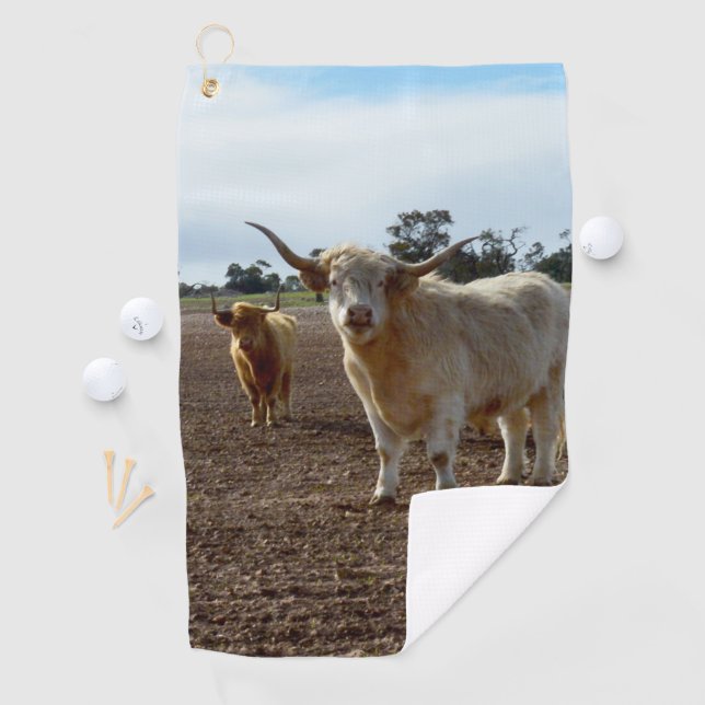 Toalla De Golf Ganado vacuno suelto: Heredero de trigo de vacas d (In situ)