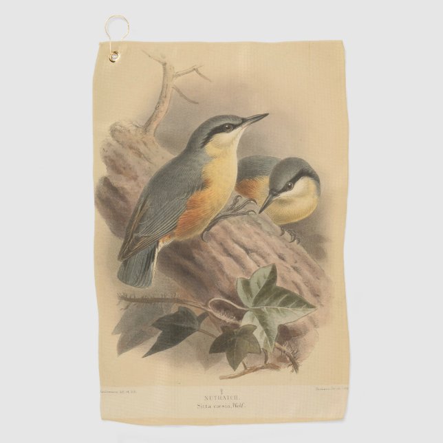 Toalla De Golf Ilustracion vintage de Nuthatch (Anverso)