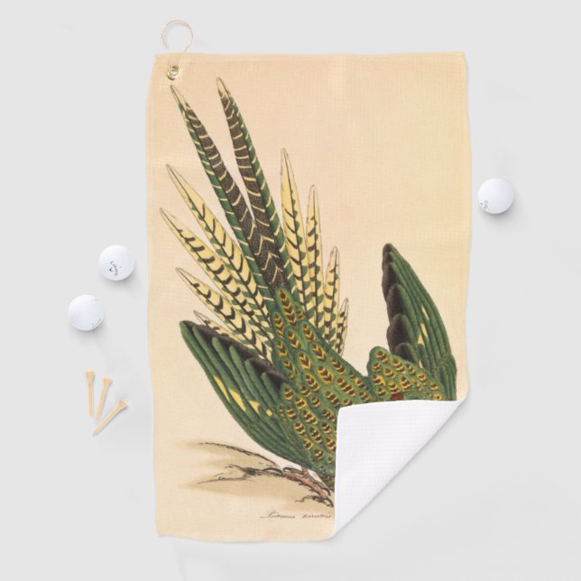 Toalla De Golf James Sowerby Ground Parrot, Psittacus terrestres (In situ)