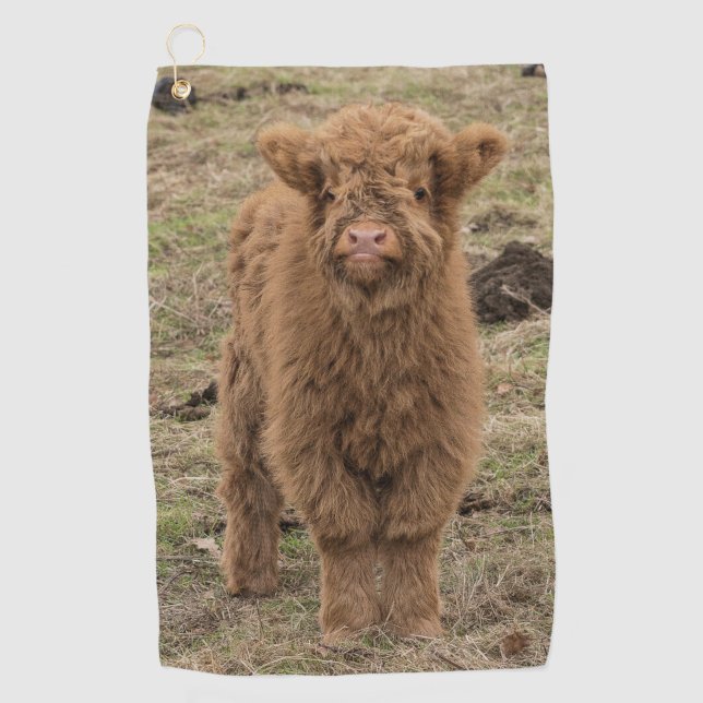 Toalla De Golf Joven vaca de Escocia grande y peluda (Anverso)