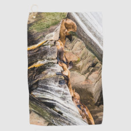 Toalla De Golf Leones Marinos Sobre Las Rocas