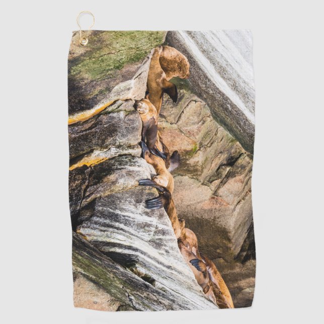 Toalla De Golf Leones Marinos Sobre Las Rocas (Anverso)