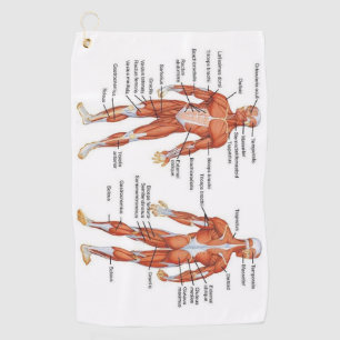 Toalla De Golf Muscle Diagram medgifts101