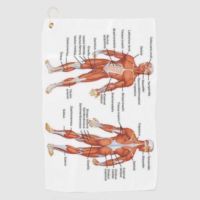 Toalla De Golf Muscle Diagram medgifts101 (Anverso)