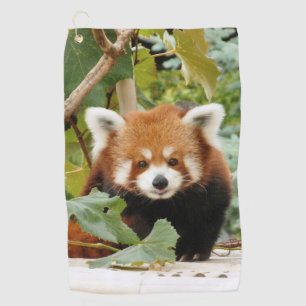 Toalla De Golf Panda rojo
