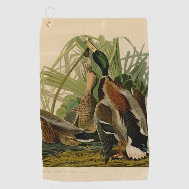 Toalla De Golf Pintura de pájaro de Mallard Duck Audubon (Anverso)