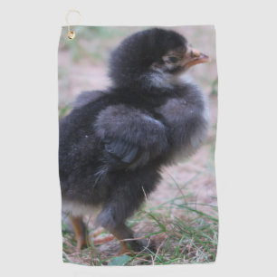Toalla De Golf pollo, pollitos, pollos, pollos, animales, aves,