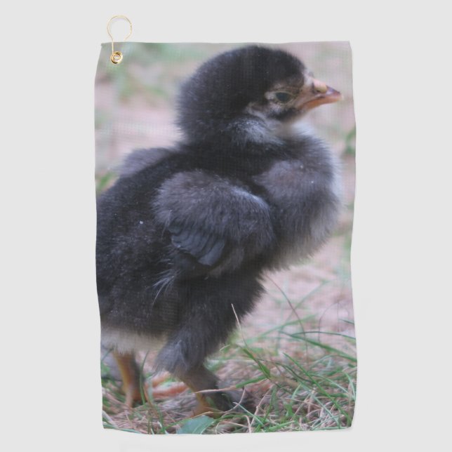 Toalla De Golf pollo, pollitos, pollos, pollos, animales, aves, (Anverso)