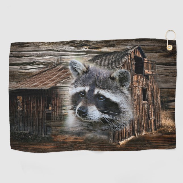 Toalla De Golf Raccoon En El Antiguo Barn (Horizontal)