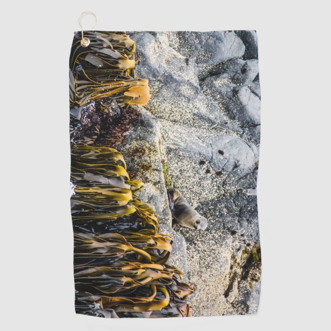 Toalla De Golf Sello De Piel Joven En La Roca (Anverso)