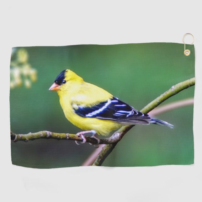 Toalla De Golf Toalla americana del golf del Goldfinch (Horizontal)