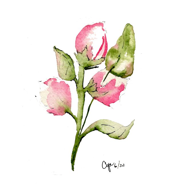 Toalla de invitado color Bud (Subido por el creador)