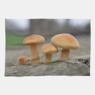 Toalla de macrococina de todoterrenos pequeños