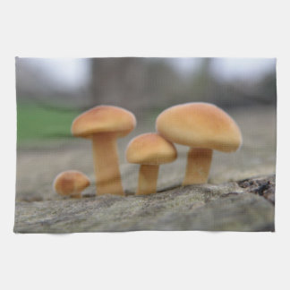 Toalla de macrococina de todoterrenos pequeños