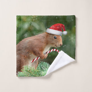 Toalla de mano de ardilla para Navidades