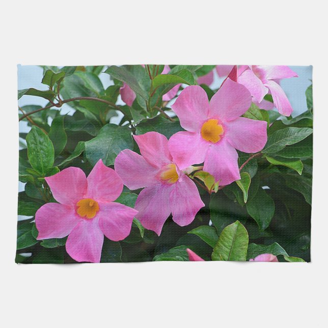 Toalla De Moda Rosa (Horizontal)