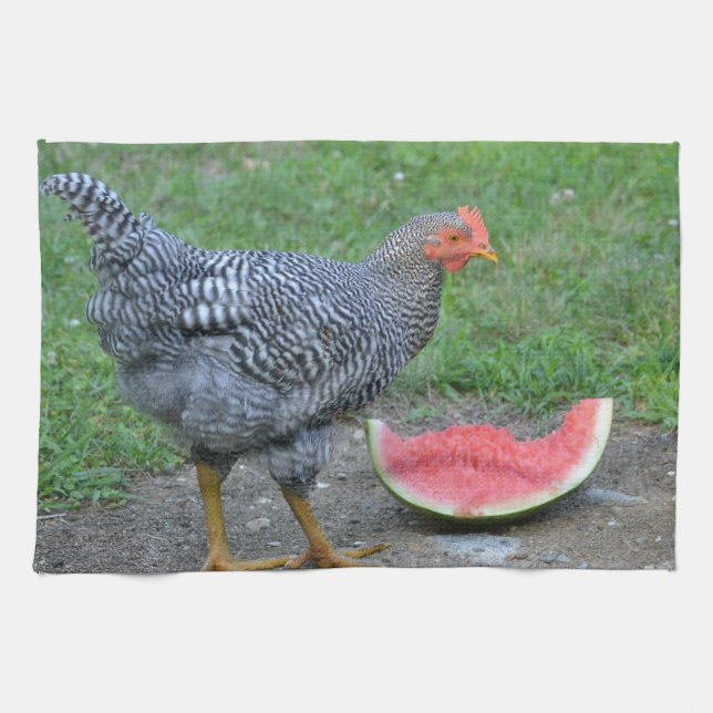 Toalla de plato de pollo (Horizontal)