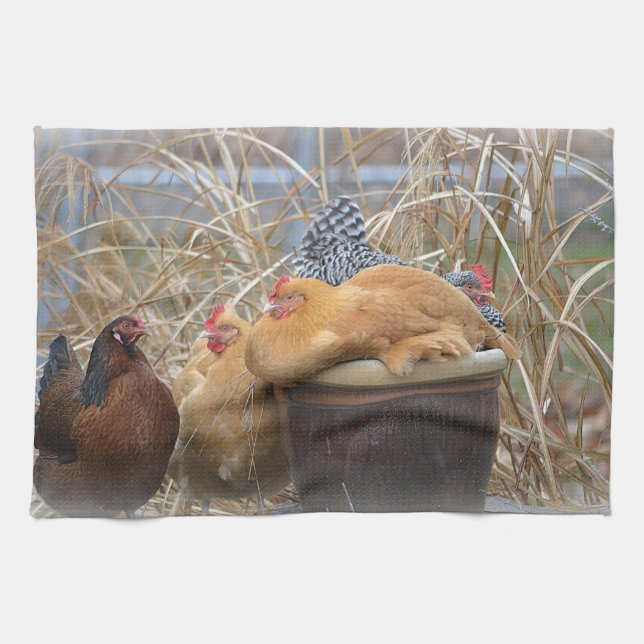 Toalla de plato de pollo (Horizontal)