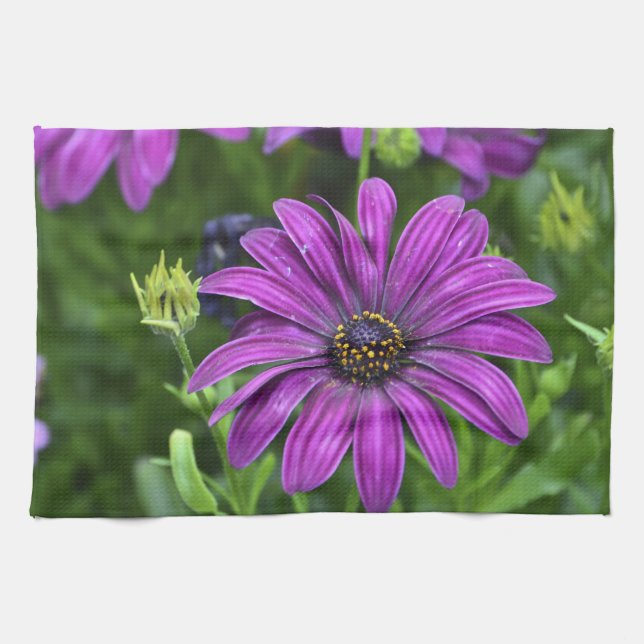 Toalla de plato Purple Passion (Horizontal)