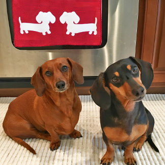 Toalla de plato rojo de Dachshund para los amantes