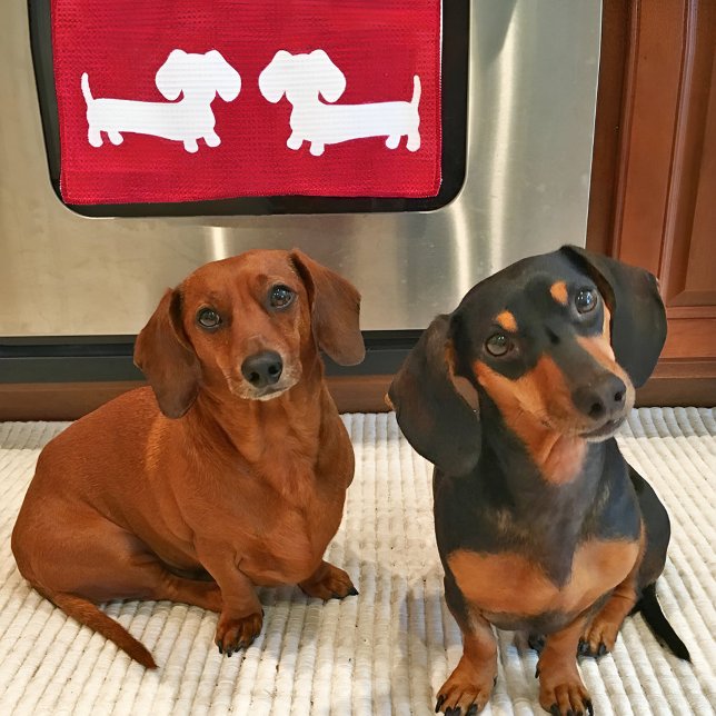 Toalla de plato rojo de Dachshund para los amantes (Dachshund kitchen gifts and goods for wiener dog lovers)