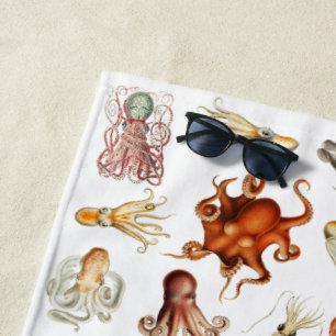 Toalla De Playa Acuarela Octopus Cephalopod Ocean Animals