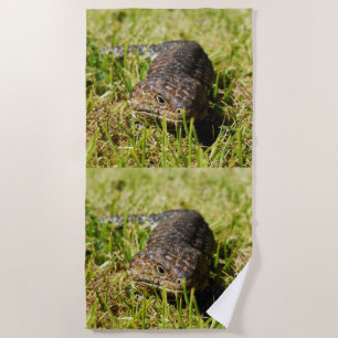 Toalla De Playa Ambler blindado: El paseo secreto del Shingleback,