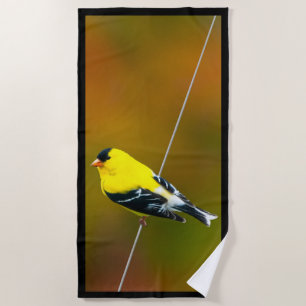 Toalla De Playa American Goldfinch - Fotografía original