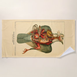 Toalla De Playa Anatomía de una paloma