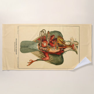 Toalla De Playa Anatomía de una paloma