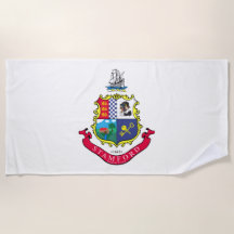 Bandera de Stamford (Connecticut)