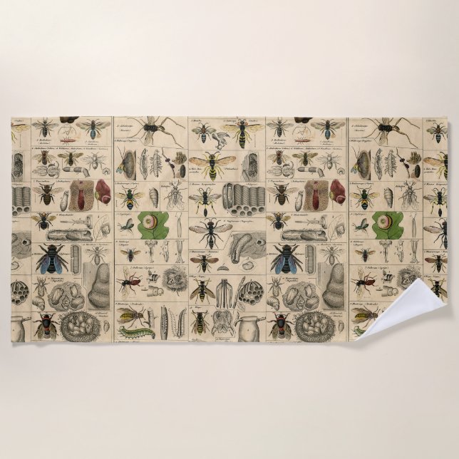 Toalla De Playa Bee Insect Bug Wasp Naturaleza Abejas Pintura (Anverso)