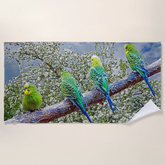 Toalla De Playa Birds - budgies (Anverso)
