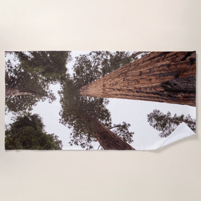 Toalla De Playa bosque, árbol (Anverso)