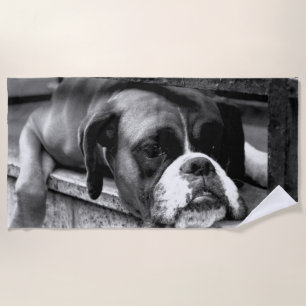 Toalla De Playa Boxer Dog on Windowsill btcna