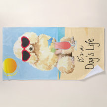 Caniche miniatura del verano