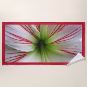 Toalla De Playa Cierre botánico encima de la flor del Amaryllis de