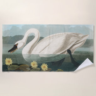 Toalla De Playa cisnes de agua blanca de cisne audubon