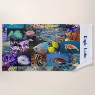 Toalla De Playa Coral Reef Marine Life Fish Animales Fotos Nombre