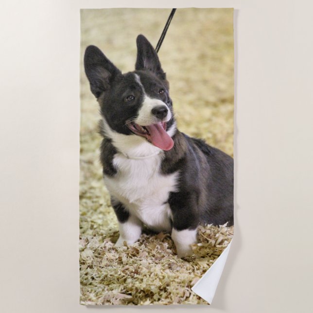 Toalla De Playa Corgi (Anverso)