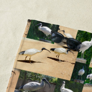 Toalla De Playa Crónicas del cubo de basura: Un collage de fotos d