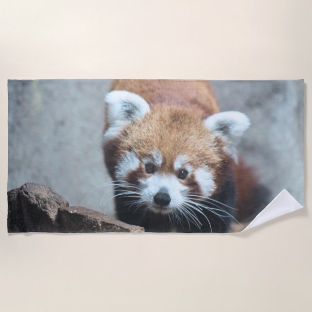 Toalla De Playa Cuto (Anverso)