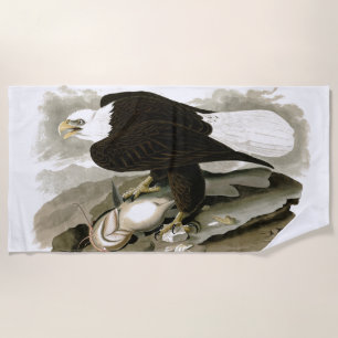 Toalla de playa de la fauna del pájaro de Audubons