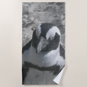 Toalla de playa de pingüino sudafricano