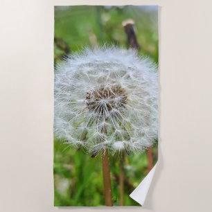 Toalla De Playa Diente de León Perfecto – Fotografía Macro Botánic