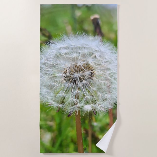 Toalla De Playa Diente de León Perfecto – Fotografía Macro Botánic (Anverso)