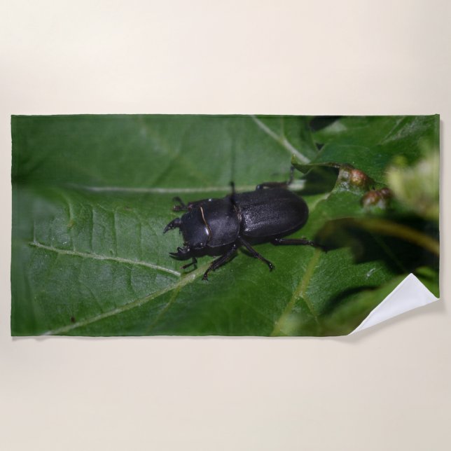 Toalla De Playa Dorcus parallelipipedus , el escarabajo de menor t (Anverso)